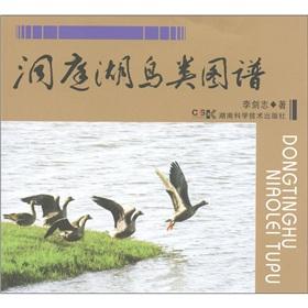 Immagine del venditore per Dongting Lake birds pattern(Chinese Edition) venduto da liu xing