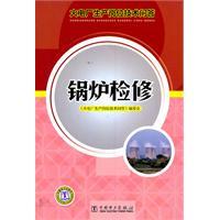 Immagine del venditore per Q & A: boiler repair of thermal power plant production jobs technology(Chinese Edition) venduto da liu xing