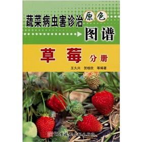 Imagen del vendedor de Vegetable pest diagnosis and treatment of primary color map: strawberry Volume(Chinese Edition) a la venta por liu xing