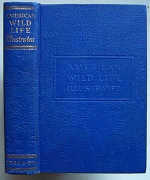 Image du vendeur pour American Wild Life Illustrated mis en vente par Shoestring Collectibooks