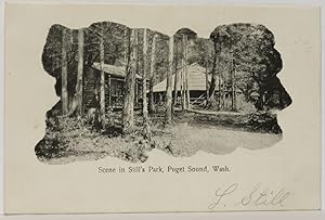 Scene in Still's Park, Puget Sound, Wash. [Whidbey Island]