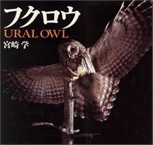 Ural Owl (=Fukuro).