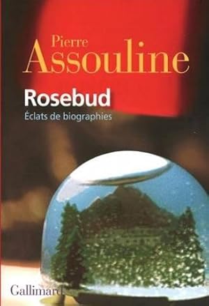 Rosebud: Éclats de biographies