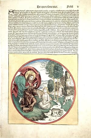 Seller image for La Creazione di Adamo for sale by libreria antiquaria perini Sas di Perini