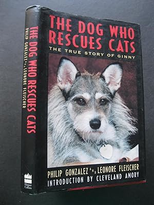 THE DOG WHO RESCUES CATS - The True Story of Ginny