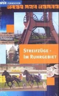 Seller image for Streifzge im Ruhrgebiet for sale by Versandbuchhandlung Kisch & Co.