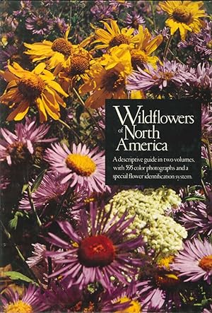 Image du vendeur pour Wildflowers of North America. Easterns America. Western America mis en vente par Libro Co. Italia Srl