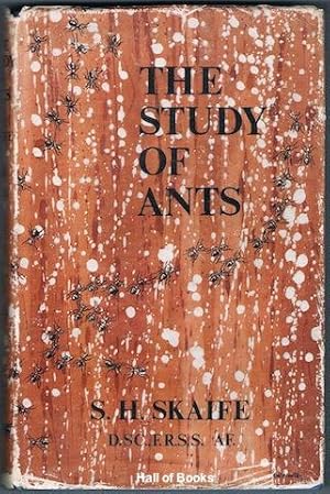 The Study Of Ants