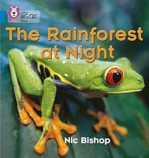 Immagine del venditore per The Rainforest at Night (Paperback) venduto da AussieBookSeller