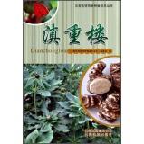 Immagine del venditore per Yun Nan Mingte medicinal plant Technical Series: polyphylla(Chinese Edition) venduto da liu xing
