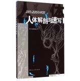 Image du vendeur pour Human Anatomy and sketch: animation creation tool(Chinese Edition) mis en vente par liu xing