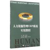 Image du vendeur pour Human Resource Management ERP system Practical Guide(Chinese Edition) mis en vente par liu xing