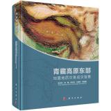 Immagine del venditore per Forming Backgrounds of Earthquake-Induced Geohazards in the Eastern Marginal Zone of the Plateau Tibetan(Chinese Edition) venduto da liu xing