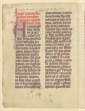 Der Hedwigs-Codex von 1353. Sammlung Ludwig. FAKSIMILE der vollständigen Handschrift (und:) Texte...