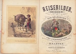 Reisebilder. Skizzen aus der Natur u. dem Menschenleben. Zur Belehrung und Unterhaltung für die r...