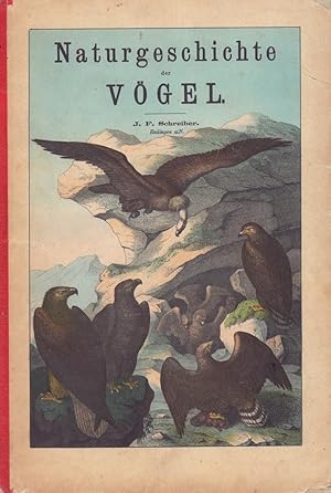 Naturgeschichte der Vögel in Bildern, treu, theils nach der Natur, theils nach den ausgezeichnets...