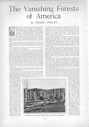 Image du vendeur pour PRINT: "The Vanishing Forests of America".story and photos from Harper's Weekly, March 28, 1908 mis en vente par Dorley House Books, Inc.