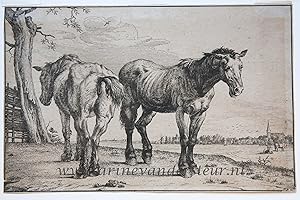 [Antique print, etching] T. Lundh (?) after P. Potter, The Plough Horses, 1896, 1 p.