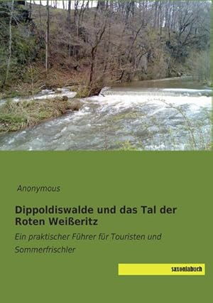 Imagen del vendedor de Dippoldiswalde und das Tal der Roten Weieritz : Ein praktischer Fhrer fr Touristen und Sommerfrischler a la venta por AHA-BUCH GmbH