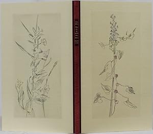 Toscanische Blumen. Zugleich ein botanisches Goethe-Lesebuch. Hamburg 1987. 4to. 72 S. Mit 13 far...
