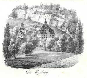 RHEINECK. "Die Weinburg". Blick auf Burg und Häuser, dahinter felsiger Steilhang.