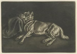 JOHANN ADAM KLEIN (1792 - 1875). "Schlafender Spitzhund" nach links, "den Kopf auf ein gefranztes...