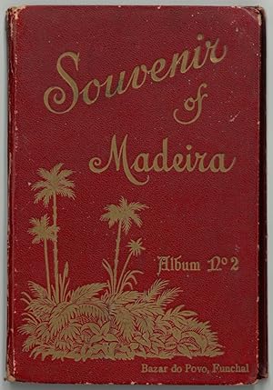 MADEIRA. - Souvenir of Madeira. Photoleporello. Mit 12 Ansichten.