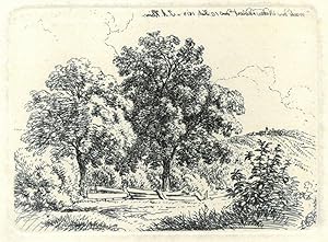 JOHANN ADAM KLEIN (1792 - 1875). "Das Landschäftchen vom 10. Juli 1813. Zwei Bäume an einem Plank...