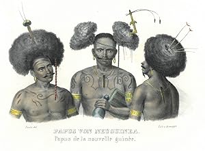 PAPUA-NEUGUINEA. - Tracht. "Papus von Neuguinea". Halbfiguren von drei männlichen Ureinwohnern, m...