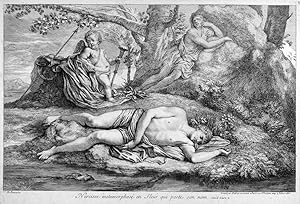 Image du vendeur pour GRARD AUDRAN (1640 - 1703). "Narcisse metamorphos en fleur qui porte son nom." Unter einem Baum an einem Bach liegend, wird "Narziss in eine Blume verwandelt" (Nagler), dahinter der Amorknabe und die Nymphe Echo. mis en vente par Peter Bierl Buch- & Kunstantiquariat Inh.: Andrea Bierl