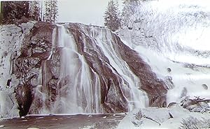 Fine Photograph of "Gibbon Falls".