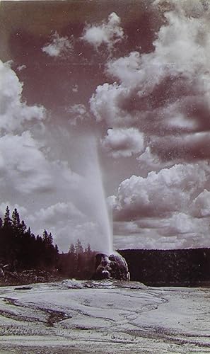 Seller image for Fine Photograph of "Lone Star Geyser". for sale by Arader Galleries - AraderNYC