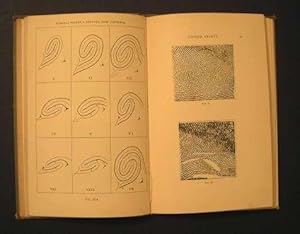 Classification and Uses of Finger Prints ( Official Copy )