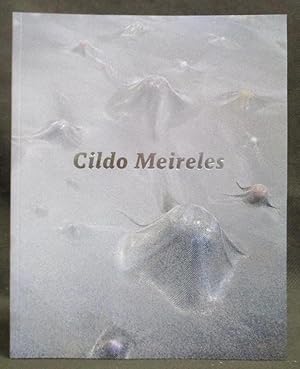 Imagen del vendedor de Cildo Meireles a la venta por Exquisite Corpse Booksellers