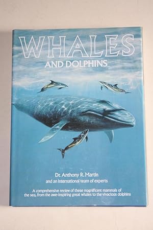 Whales And Dolphins