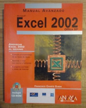 Imagen del vendedor de Excel 2002 a la venta por La Leona LibreRa