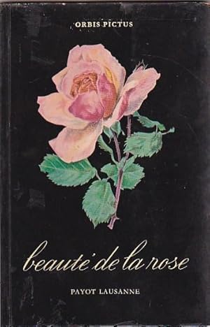 Image du vendeur pour Beaut de la rose mis en vente par LIBRERA GULLIVER
