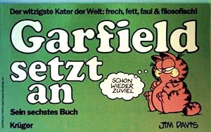 Garfield setzt an - sein sechstes Buch (Krüger Comics Bd. 6)