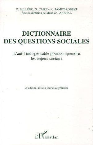 dictionnaire des questions sociales - l'outil indispensable pour comprendre les enjeux sociaux