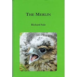 Image du vendeur pour The Merlin mis en vente par Buteo Books