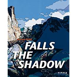 Bild des Verkufers fr Rowena Dring. Falls the Shadow. zum Verkauf von Antiquariat Heinzelmnnchen