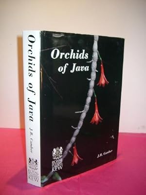 ORCHIDS OF JAVA