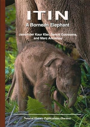 Seller image for Itin: a Bornean elephant. for sale by Andrew Isles Natural History Books