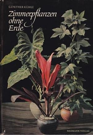 Bild des Verkufers fr Zimmerpflanzen ohne Erde. zum Verkauf von Versandantiquariat Dr. Uwe Hanisch