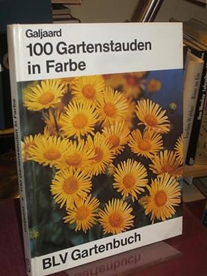 Bild des Verkufers fr 100 Gartenstauden in Farbe. (= BLV Gartenbuch). zum Verkauf von Altstadt-Antiquariat Nowicki-Hecht UG