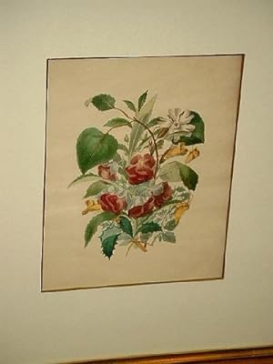 Blumenstrauß: Altkolorierte Lithographie aus Flora's Dictionary, Virginia, 1837.