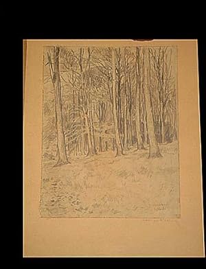 Bild des Verkufers fr Handzeichnung in Bleistift " Ratinger Wald ". zum Verkauf von Antiquariat Friederichsen