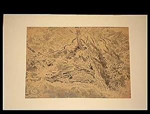 Bild des Verkufers fr Handzeichnung in Bleistift und Kohle " Geborstener Baum mit totem Holz ". zum Verkauf von Antiquariat Friederichsen