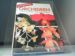 Bild des Verkufers fr Orchideen in Haus und Garten zum Verkauf von Eichhorn GmbH