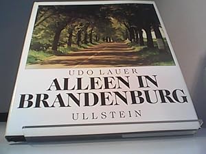 Image du vendeur pour Alleen in Brandenburg mis en vente par Eichhorn GmbH